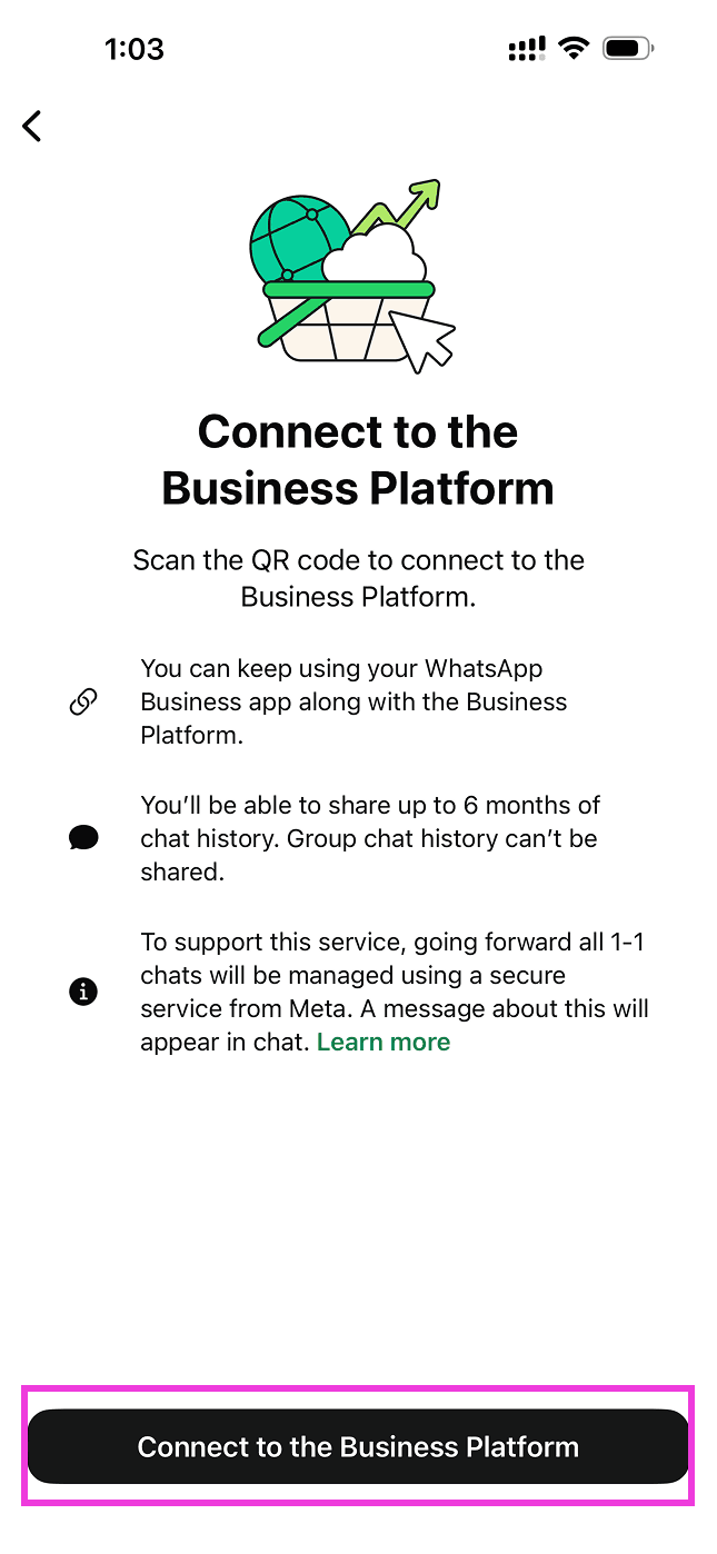 Screen with the Connect to the Business Platform button